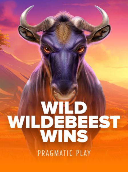 Discover New Features of MiniCasino App: Enhance Your Casino Gameplay Today